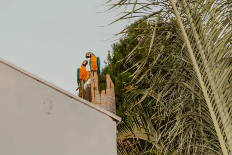 IMG_3479.jpg